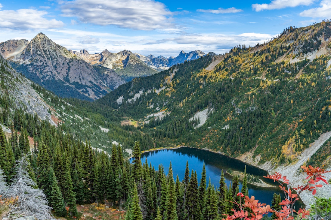 a view of a mountain lake surrounded by pine trees
