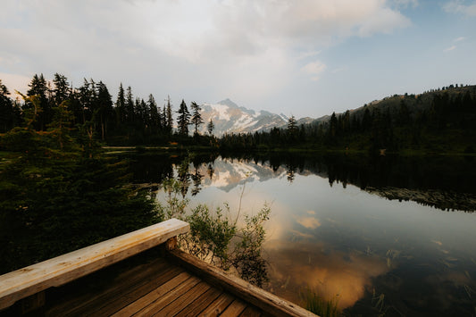 A boat sitting on top of a lake next to a forest