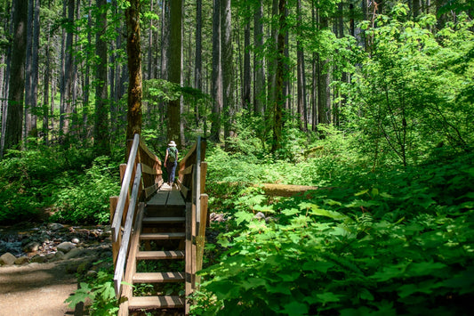 A person walks on a wooden bridge in a forest.